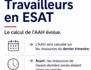 Trimestrialisation de l'AAH ; informations